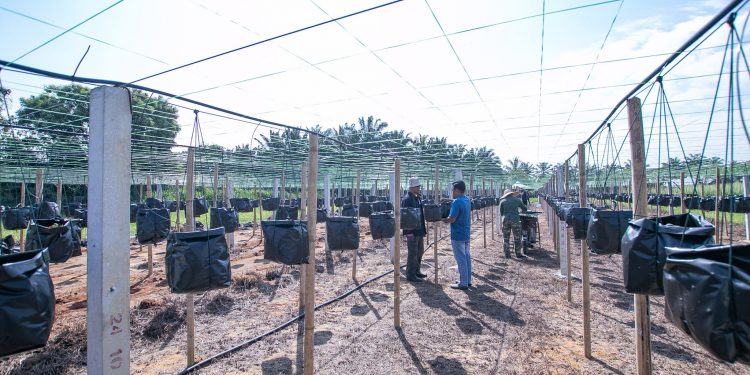 23 FEBRUARI 2023 – PROJEK FERTIGASI ASNAF ZAKAT PULAU PINANG