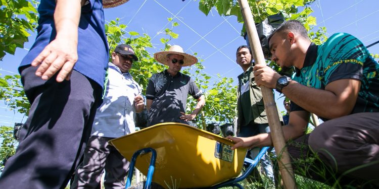 14 JULAI 2023 – LAWATAN ALP ZPP KE TAPAK PROJEK LADANG ASNAF FERTIGASI TANAMAN TIMUN ZPP