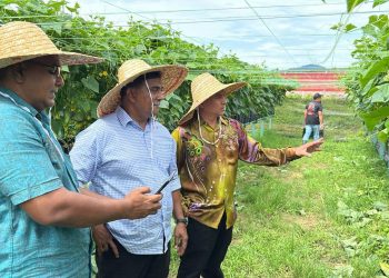 25 MEI 2024 – MENUAI HASIL PROGRAM @ PROJEK LADANG ASNAF FERTIGASI TANAMAN TIMUN
