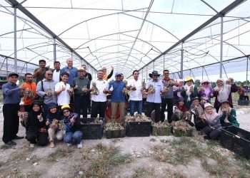 24 JUN 2024 – LAWATAN KE TAPAK PROGRAM @ PROJEK LADANG ASNAF FERTIGASI TANAMAN TIMUN ZAKAT PULAU PINANG